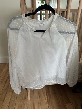 Zara White Swiss Dot Sheer Long-Sleeve Blouse